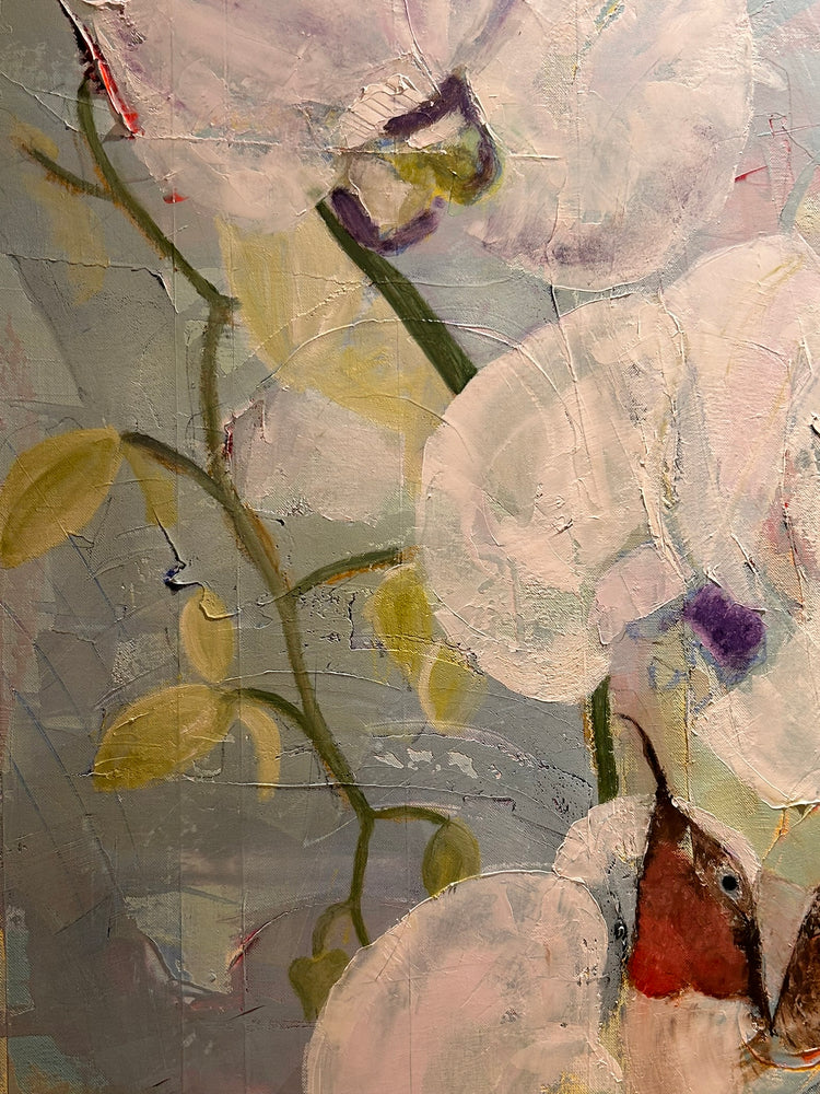 Garden Ballet: Orchids and Hummingbird Pas de Deux