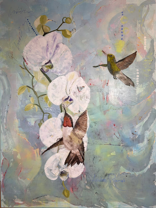 Garden Ballet: Orchids and Hummingbird Pas de Deux