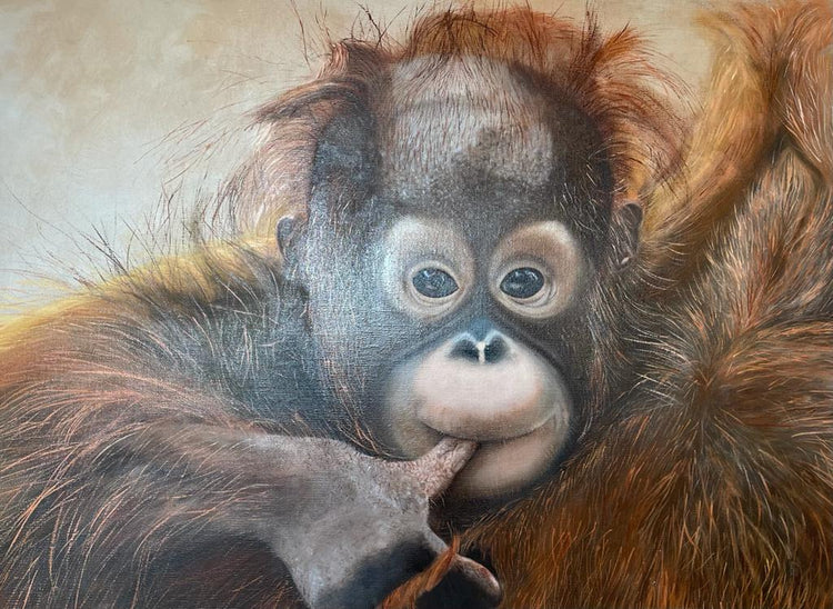 Art Pongo  – Artenschutz Edition 2021